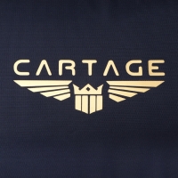 Термосумка Cartage Т-17, синяя, 18 л, 35х21х24 см