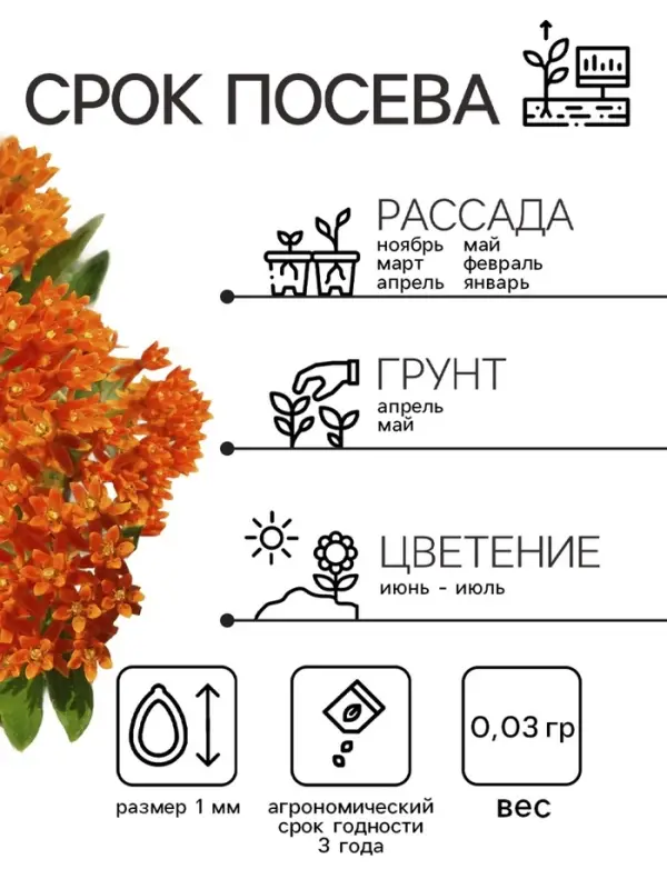 Семена Ваточник "Золотинка", ц/п,  0,03 г