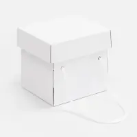 Коробка Kitbag, ver.2, белая