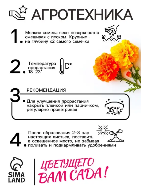 Семена цветов Бархатцы отклонённые "Петит", смесь, 0,3 г