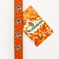 Ошейник кожаный однослойный  на  фетре неукрашенный, 1,2 см, ОШ 20-26 см,