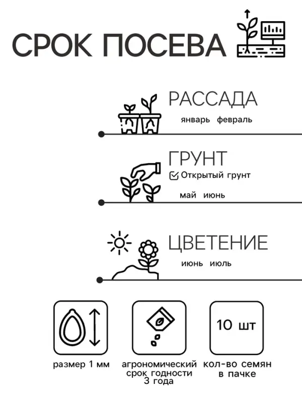 Семена цветов Бегония крупноцвет "Камелия",  красная,     10 шт