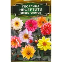 Семена цветов Георгина Нефертити, смесь сортов  Золотая серия, Ц/П,0,3 г
