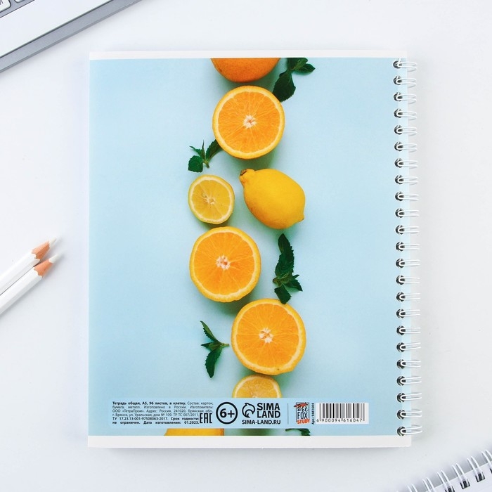 Тетрадь в клетку, 96 листов А5 на спирали, &laquo;Сочное настроение&raquo; ,обложка мелованный картон 230 г внутренний блок №1, белизна 96%