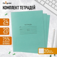 Комплект тетрадей из 20 штук, 24 листа в клетку КПК "Зелёная обложка", 60 г/м2, блок №2, белизна 75% (серые листы)
