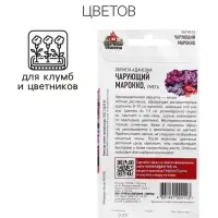 Семена цветов Обриета "Чарующий Марокко", ц/п,  0,05 г