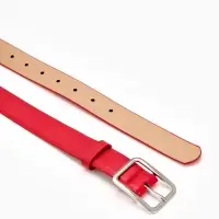 Ремень жен 05-01-02-01, Июнь2505, 3*0,3*110 см, без винта, пряж мат металл, 1 прокол, красн   109031