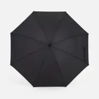 Зонт-трость Rainzee, черный