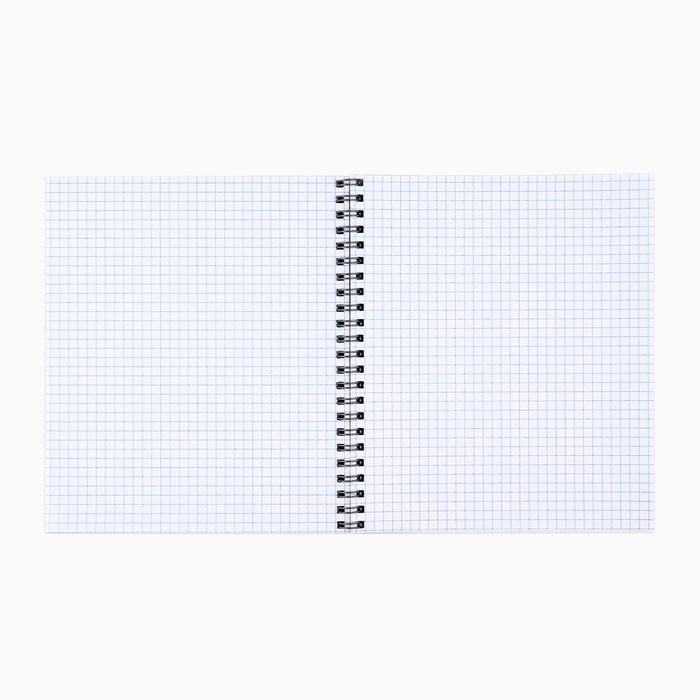 Тетрадь А5, 48 л на спирали, внутренний блок №1 МИКС &laquo;Аниме. Фразы&raquo;