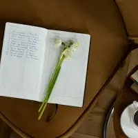 Ежедневник Nubuk, недатированный, синий