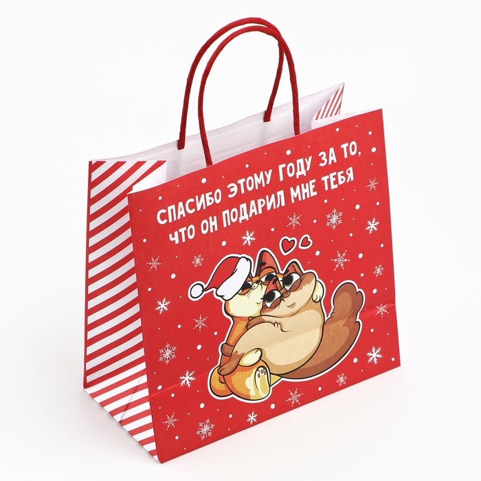 Пакет подарочный новогодний &laquo;Спасибо этому году&raquo;, 22 х 22 х 11 см