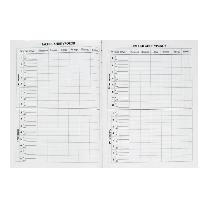 Дневник школьный для 1-11 классов, &laquo;Граффити&raquo;, твёрдая обложка 7БЦ, глянцевая ламинация, 40 листов