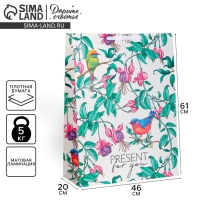 Пакет подарочный ламинированный вертикальный, упаковка, &laquo;Present for you&raquo;, 61 х 46 х 20 см