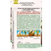 Семена цветов Экзакум (Персидская фиалка) Роял дэйн вайт  (драже)  PanAmerican, Ц/П,4 шт.