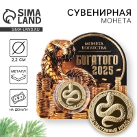 Монета новогодняя &laquo;Богатого 2025&raquo; на Новый год, диам. 2,2 см