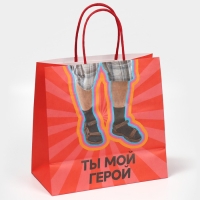 Пакет подарочный, упаковка, &laquo;Герой&raquo;, 22 х 22 х 11 см