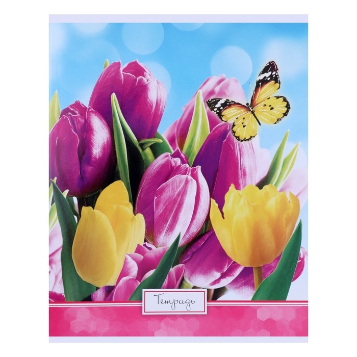 Тетрадь 48 листов в клетку Calligrata "Яркие цветы", обложка мелованный картон, УФ-лак, блок офсет, МИКС