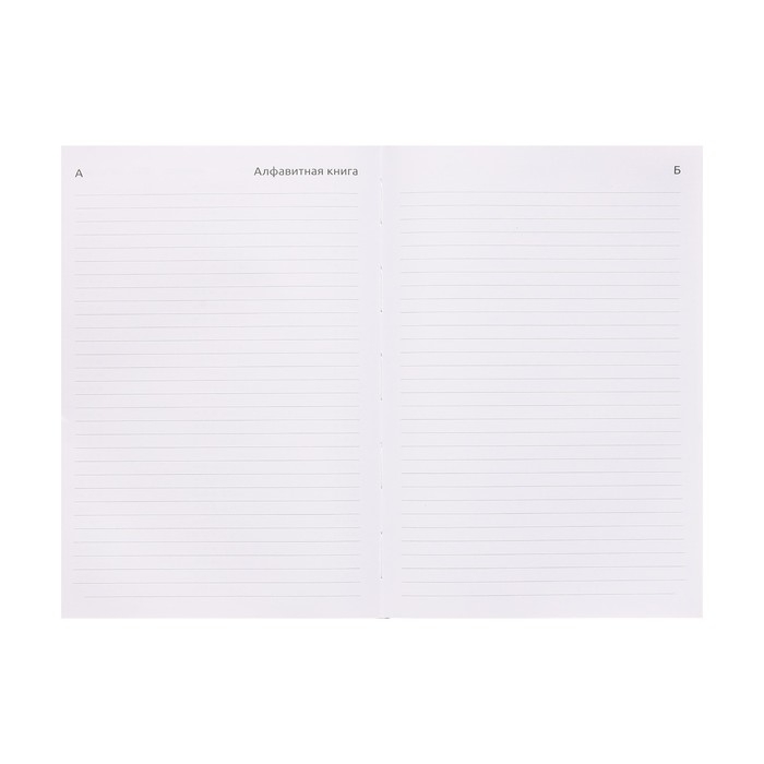 Ежедневник датированный 2024 года, А5, 176 листов, Attomex.Regent, обложка бумвинил, ляссе, блок 70 г/м2, серый