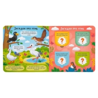 Книга картонная с окошками &laquo;Загадки в окошках&raquo; 10 стр.