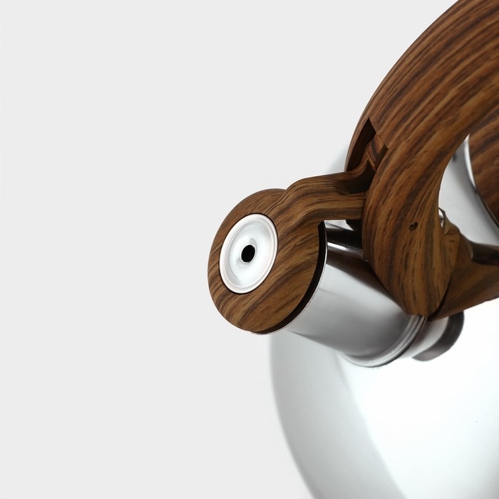 Чайник со свистком из нержавеющей стали Доляна &laquo;Квант&raquo;, 2,8 л, фиксированная ручка soft-touch, цвет хромированный