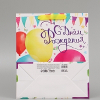 Пакет подарочный ламинированный вертикальный, упаковка, &laquo;С Днём Рождения!&raquo;, ML 23 х 27 х 11,5 см