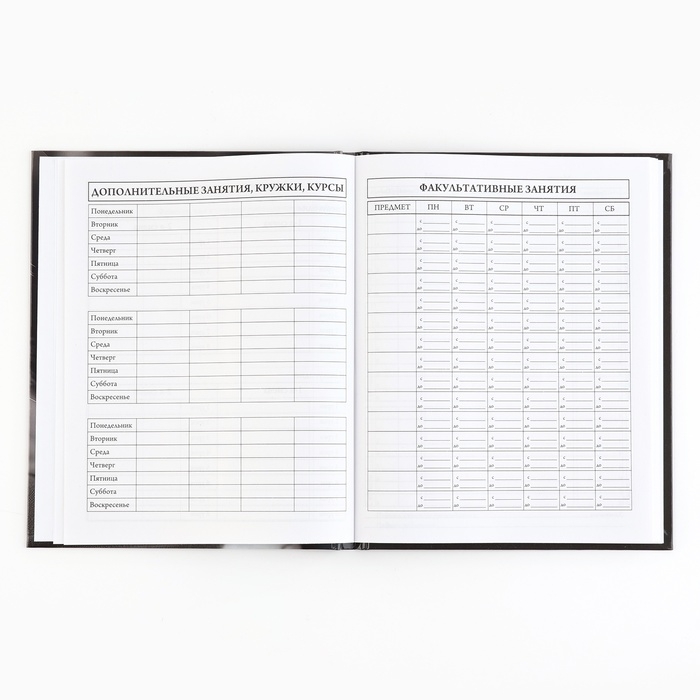 Дневник школьный 5-11 класс, в твердой обложке, 48 л. &laquo;Кошка&raquo;