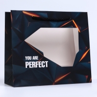 Пакет подарочный с окном "Perfect", 25 х 10 х 22 см