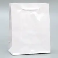 Пакет подарочный ламинированный, упаковка, &laquo;Белый&raquo;, S 12 х 15 х 5.5 см