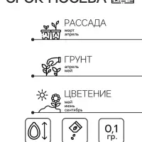 Семена цветов Обриета "Цветущий ковер", многолетник, 0,1 г