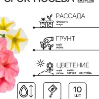 Семена   Петуния "Роза и лимон" F1 крупноцветковая ампельная, смесь окрасок , 10шт