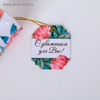 Ручка в тубусе &laquo;Дорогому учителю!&raquo;, пластик, синяя паста, 1.0 мм