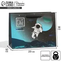 Пакет подарочный ламинированный, упаковка, &laquo;Космос&raquo;, MS 18 х 23 х 10 см