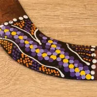 Сувенир "Бумеранг" албезия, 20х6х1 см, МИКС