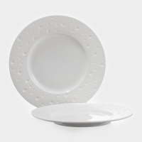 Набор тарелок 2 шт Magistro Fray 21х1,9 см