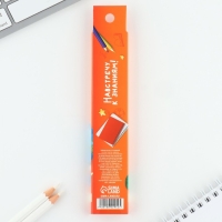 Ручка пиши стирай на выпускной 9 стержней &laquo;Выпускник&raquo; синяя паста, гелевая 0.5 мм набор