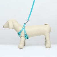 Комплект с мягкой шлейкой, быстросъемный, M, поводок 140 см, ОШ 44-48 см, ОГ 51-60 см, бирюзовый