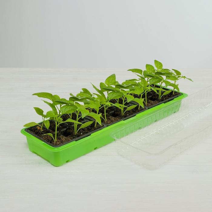 Мини-парник для рассады, 57 &times; 18 &times; 14,5 см, 3 вставки, 18 ячеек, Greengo