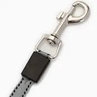 Рулетка - поводок "Косточка", с контейнером для пакетов, трос 3 м, голубая/серая