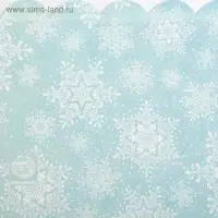 Коробка для кондитерских изделий с PVC крышкой &laquo;Снежинки&raquo;, 10.5 х 21 х 3 см