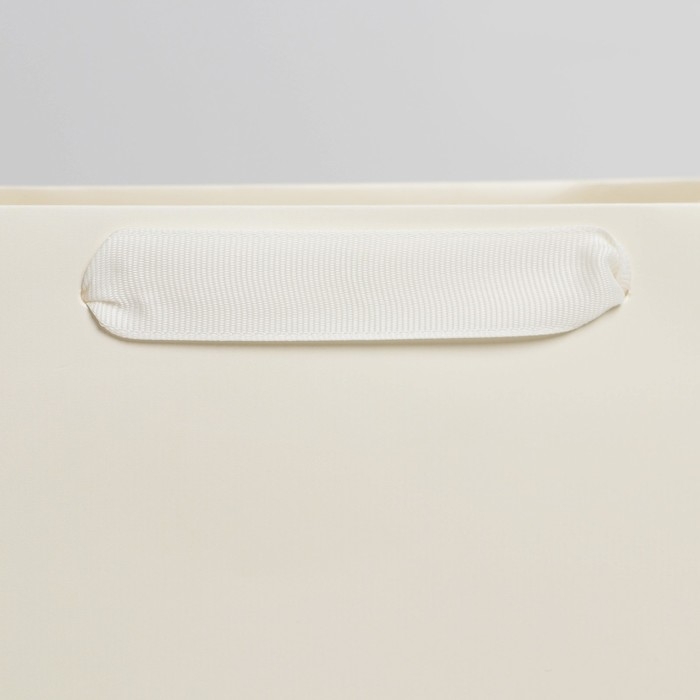 Пакет подарочный ламинированный, упаковка, &laquo;Молочный&raquo;, ML 23 х 27 х 11.5 см