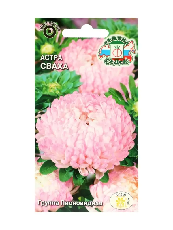 Семена цветов Астра "Сваха "0.2 г