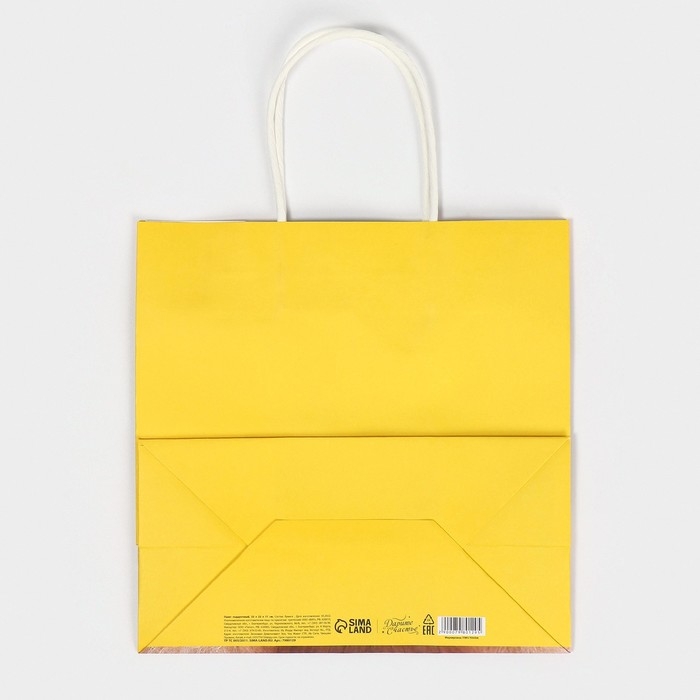 Пакет подарочный, упаковка, &laquo;Подарочек&raquo;, 22 х 22 х 11 см