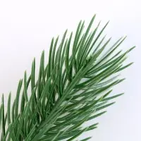 Литая веточка, зелёная, 22 &times; 4 см, набор 20 шт.