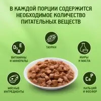 Влажный корм Kitekat для кошек, курица в соусе, пауч 85 г