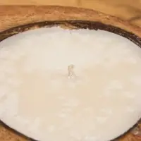 Свеча в кокосе, 18&times;22&times;7 см, коричневая