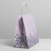 Пакет подарочный, упаковка, &laquo;Если бы&raquo;, 22 х 22 х 11 см