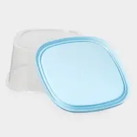 Контейнер пищевой, 900 мл, 14.9&times;14.9&times;7.4 см, квадрат, прозрачный, крышка голубая