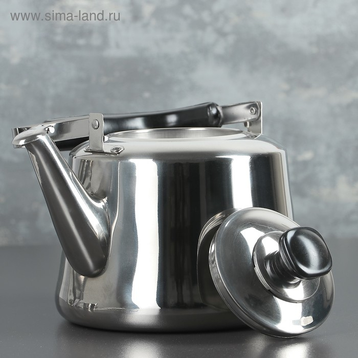 Чайник из нержавеющей стали &laquo;Чайковский&raquo;, 3 л, цвет хромированный