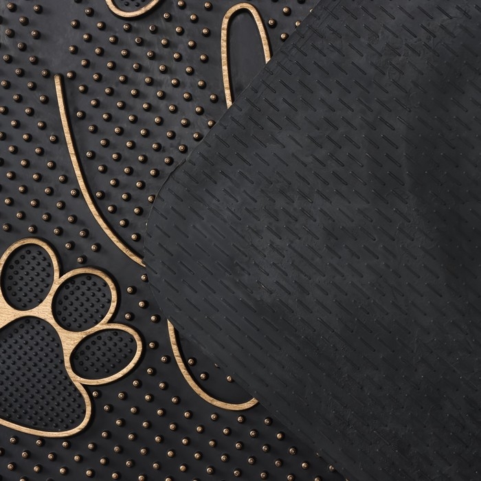 Коврик придверный Доляна &laquo;Лапка&raquo;, цвет МИКС