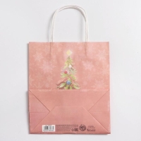 Пакет подарочный новогодний крафтовый &laquo;Новогодние сны&raquo;, 22 х 25 х 12 см, Новый год